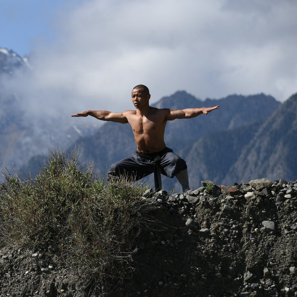 Yi Jin Jing  ( Muscle Tendon Changing) Qigong & Ultimate Flexibility  -  LIVE Masterclass