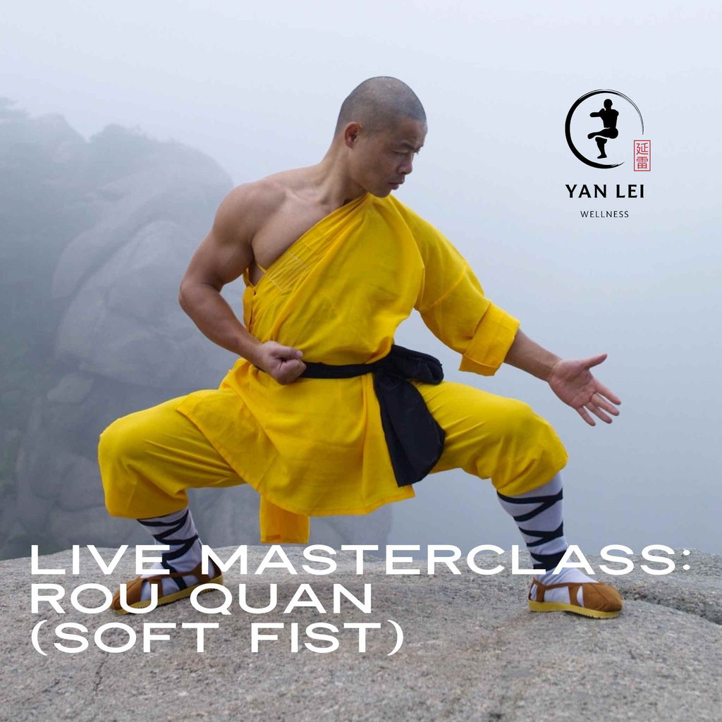 Rou Quan (Soft Fist) - Live Masterclass – Shifu Yan Lei