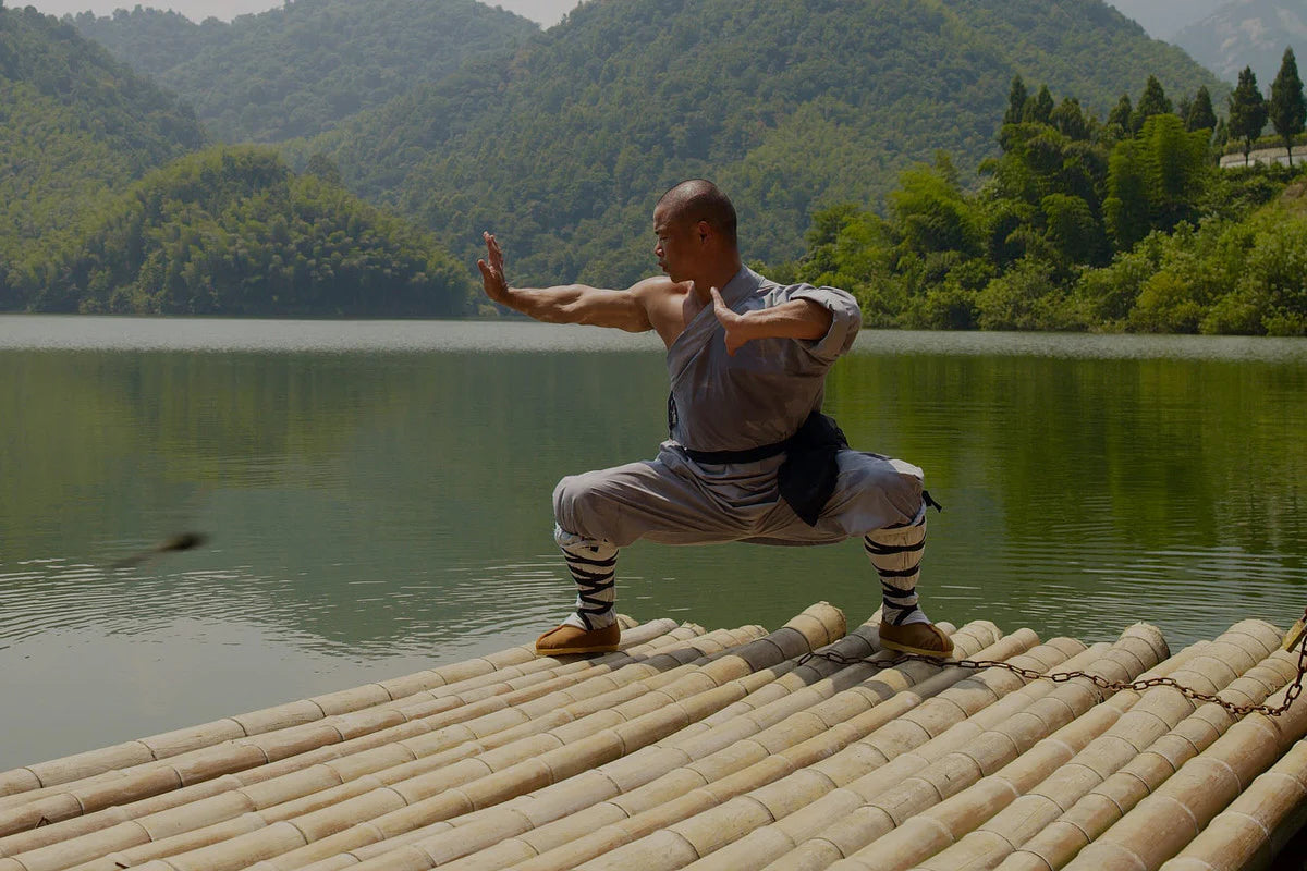 Shaolin Hero