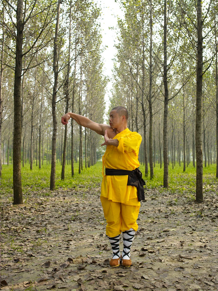 Rou Quan  ( Soft Fist) - Shaolin Tai Chi