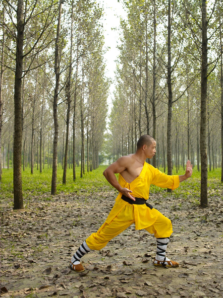 Rou Quan  ( Soft Fist) - Shaolin Tai Chi