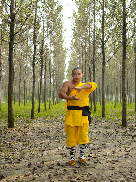 Rou Quan  ( Soft Fist) - Shaolin Tai Chi