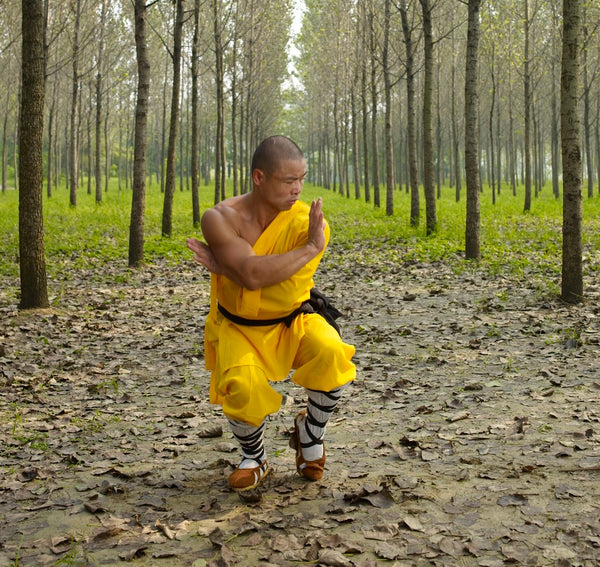 Rou Quan  ( Soft Fist) - Shaolin Tai Chi